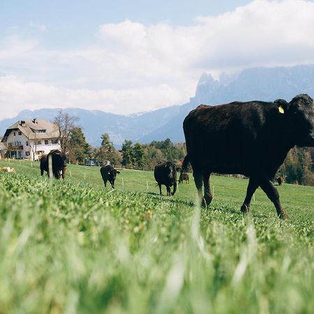 Alpin Farm Linde - Oberweidacherhof Коллальбо Экстерьер фото